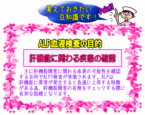 ALP血液検査の目的【画像】