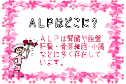 ALPはどこにある？