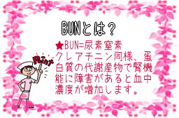 BUNとは？